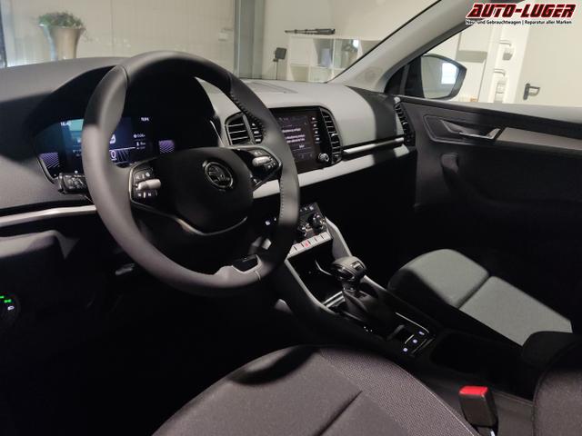 Skoda / Karoq / Schwarz / / / , Beispielbilder, ggf. teilweise mit Sonderausstattung