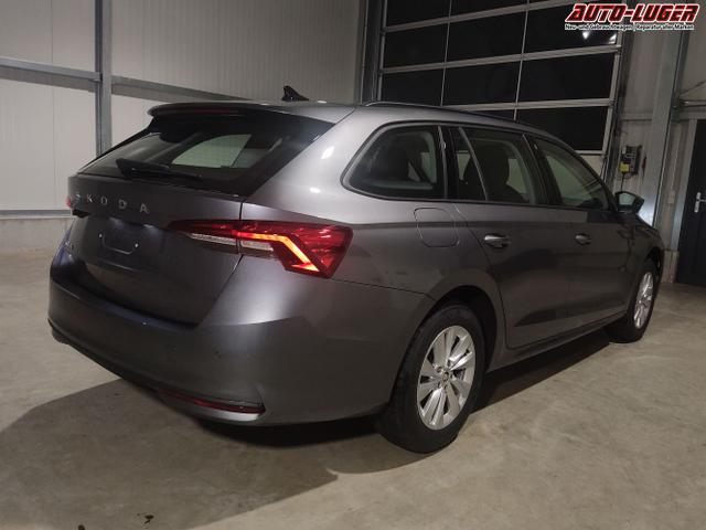 Skoda / Octavia Combi / Grau / / / , Beispielbilder, ggf. teilweise mit Sonderausstattung