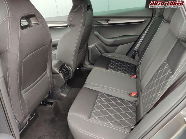 Skoda / Karoq / Grau / / / , Beispielbilder, ggf. teilweise mit Sonderausstattung