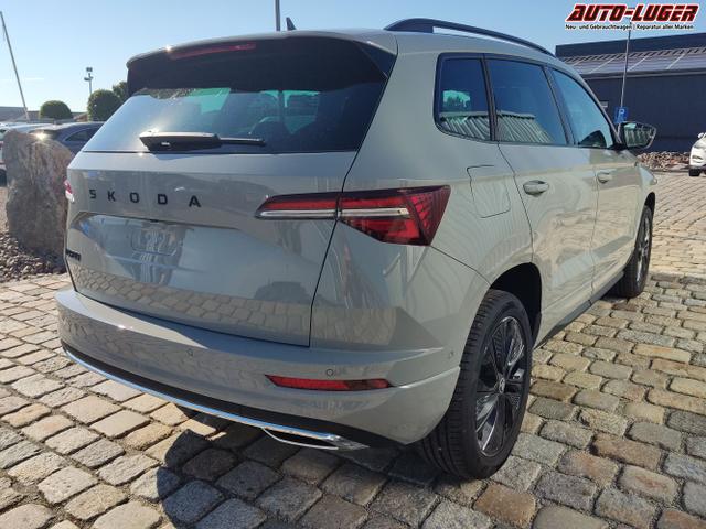 Skoda / Karoq / Grau / / / , Beispielbilder, ggf. teilweise mit Sonderausstattung
