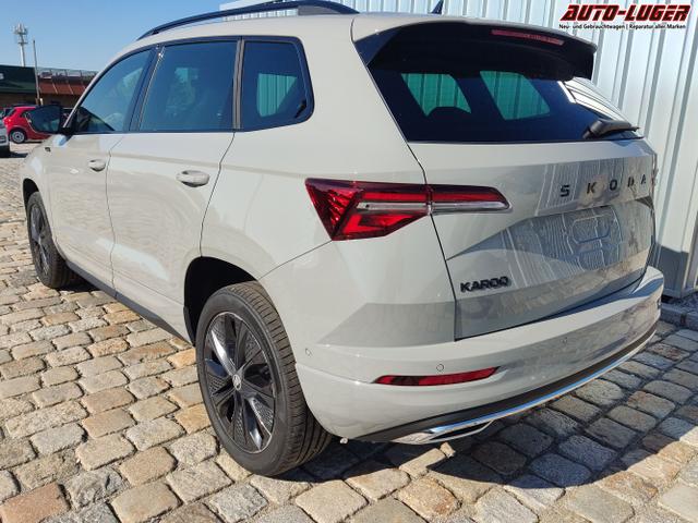 Skoda / Karoq / Grau / / / , Beispielbilder, ggf. teilweise mit Sonderausstattung