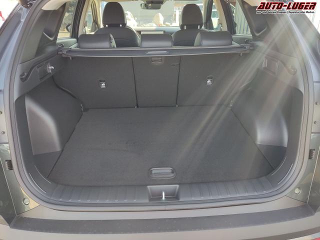 Hyundai / TUCSON / Gr&uuml;n / / / , Beispielbilder, ggf. teilweise mit Sonderausstattung