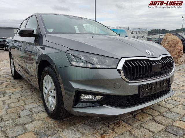 Skoda / Fabia / Grau / / / , Beispielbilder, ggf. teilweise mit Sonderausstattung