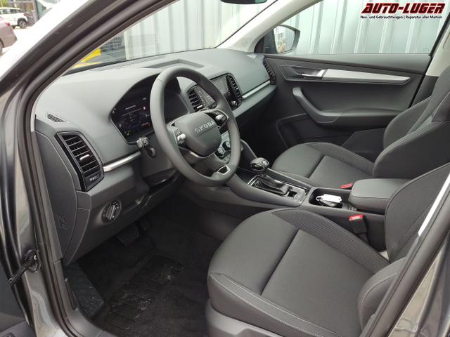 Skoda / Karoq / Grau / / / , Beispielbilder, ggf. teilweise mit Sonderausstattung