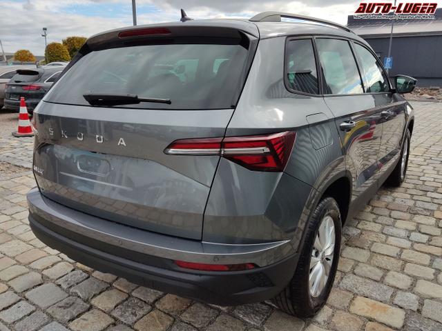 Skoda / Karoq / Grau / / / , Beispielbilder, ggf. teilweise mit Sonderausstattung