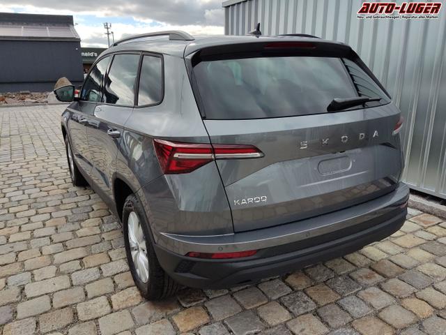 Skoda / Karoq / Grau / / / , Beispielbilder, ggf. teilweise mit Sonderausstattung