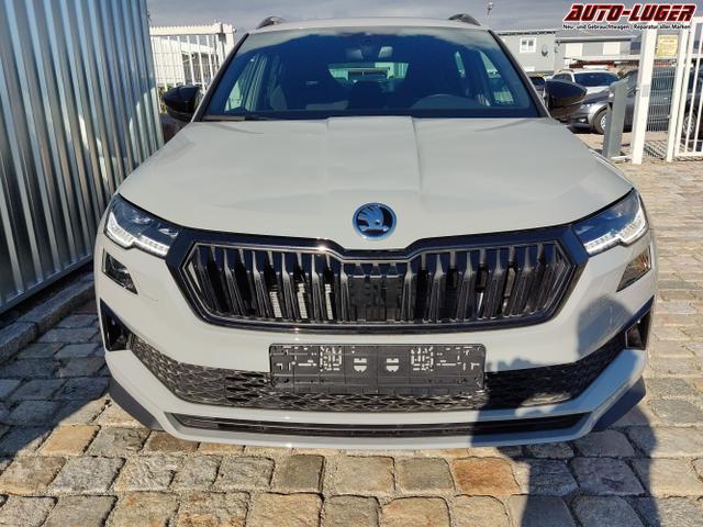 Skoda / Karoq / Grau / / / , Beispielbilder, ggf. teilweise mit Sonderausstattung