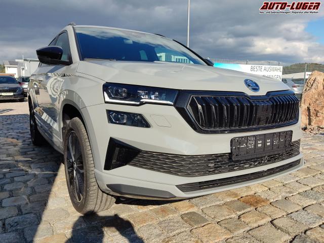 Skoda / Karoq / Grau / / / , Beispielbilder, ggf. teilweise mit Sonderausstattung