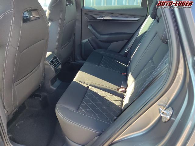 Skoda / Karoq / Grau / / / , Beispielbilder, ggf. teilweise mit Sonderausstattung