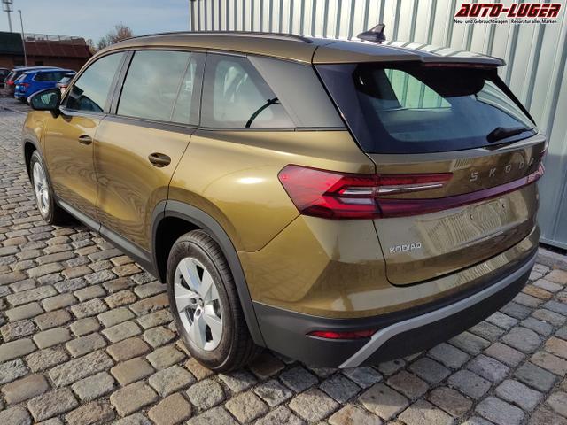 Skoda / Kodiaq / Bronze / / / 