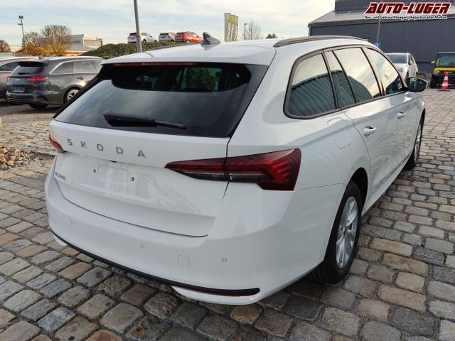 Skoda / Octavia Combi / Weiß / / / , Beispielbilder, ggf. teilweise mit Sonderausstattung