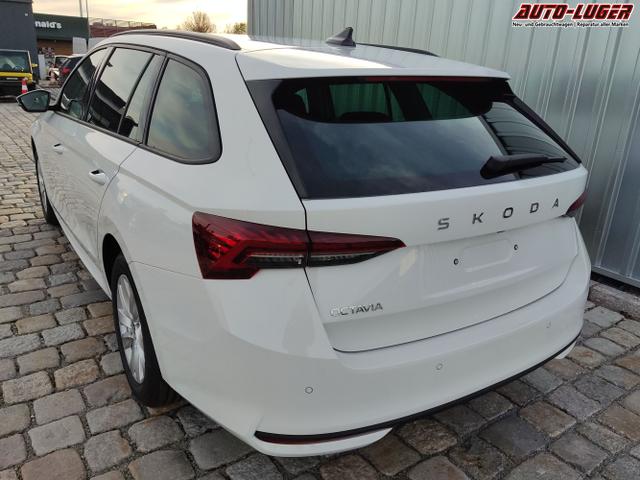 Skoda / Octavia Combi / Weiß / / / , Beispielbilder, ggf. teilweise mit Sonderausstattung