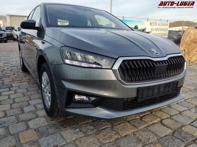 Skoda / Fabia / Grau / / / , Beispielbilder, ggf. teilweise mit Sonderausstattung