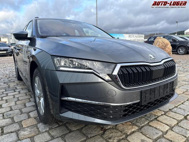 Skoda / Octavia Combi / Grau / / / , Beispielbilder, ggf. teilweise mit Sonderausstattung