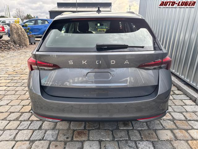 Skoda / Octavia Combi / Grau / / / , Beispielbilder, ggf. teilweise mit Sonderausstattung