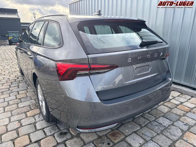 Skoda / Octavia Combi / Grau / / / , Beispielbilder, ggf. teilweise mit Sonderausstattung