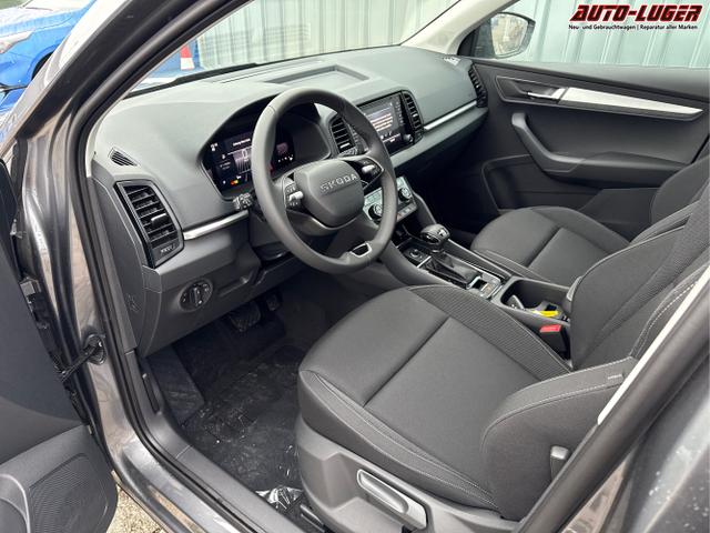 Skoda / Karoq / Grau / / / , Beispielbilder, ggf. teilweise mit Sonderausstattung