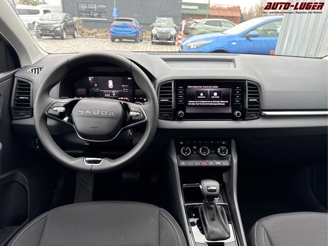 Skoda / Karoq / Grau / / / , Beispielbilder, ggf. teilweise mit Sonderausstattung