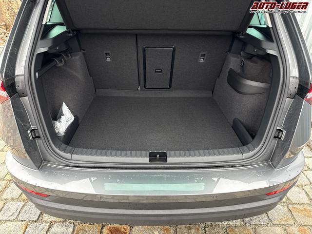 Skoda / Karoq / Grau / / / , Beispielbilder, ggf. teilweise mit Sonderausstattung