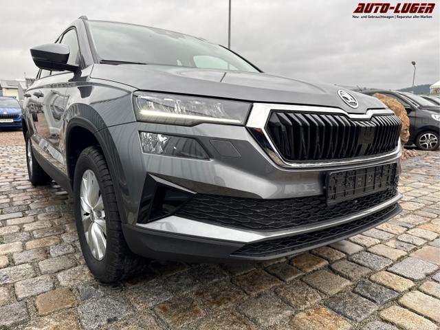 Skoda / Karoq / Grau / / / , Beispielbilder, ggf. teilweise mit Sonderausstattung