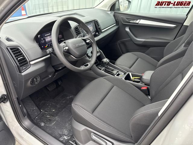 Skoda / Karoq / Grau / / / , Beispielbilder, ggf. teilweise mit Sonderausstattung