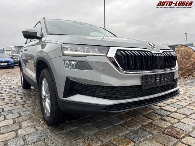 Skoda / Karoq / Grau / / / , Beispielbilder, ggf. teilweise mit Sonderausstattung