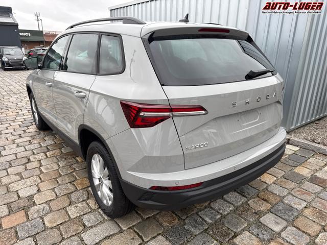 Skoda / Karoq / Grau / / / , Beispielbilder, ggf. teilweise mit Sonderausstattung