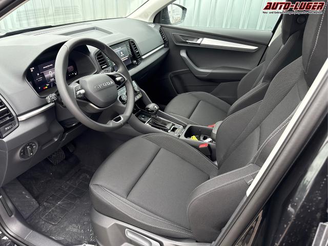 Skoda / Karoq / Schwarz / / / , Beispielbilder, ggf. teilweise mit Sonderausstattung