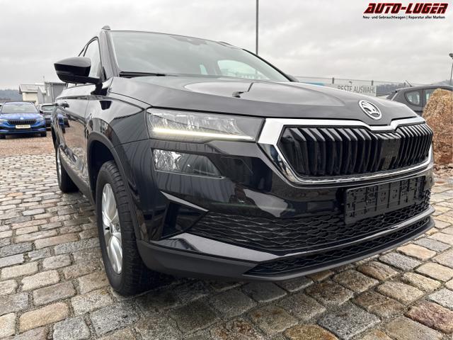 Skoda / Karoq / Schwarz / / / , Beispielbilder, ggf. teilweise mit Sonderausstattung