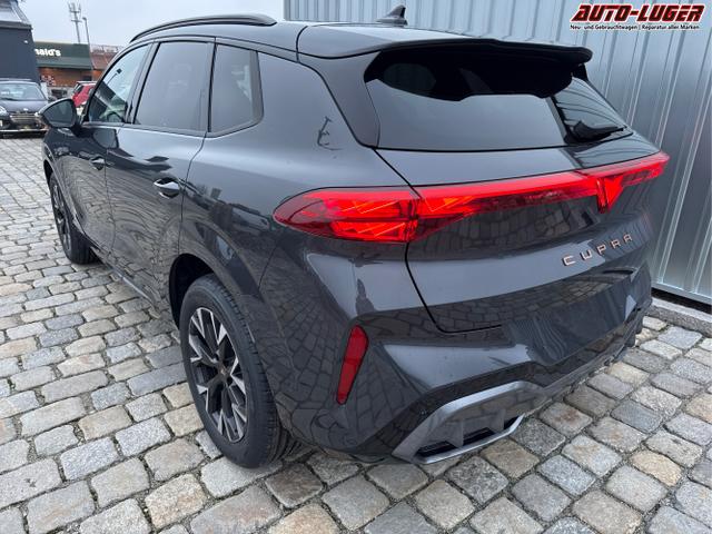 Cupra / Terramar / Grau / / / 