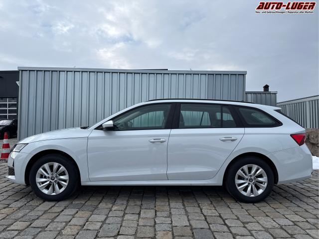 Skoda / Octavia Combi / Wei&szlig; / / / , Beispielbilder, ggf. teilweise mit Sonderausstattung