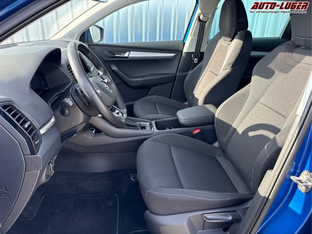 Skoda / Karoq / Blau / / / 