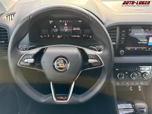 Skoda / Karoq / Blau / / / 