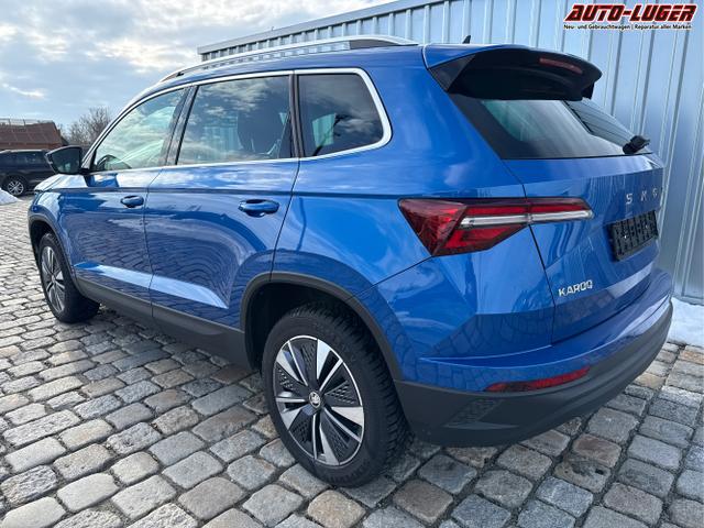 Skoda / Karoq / Blau / / / 