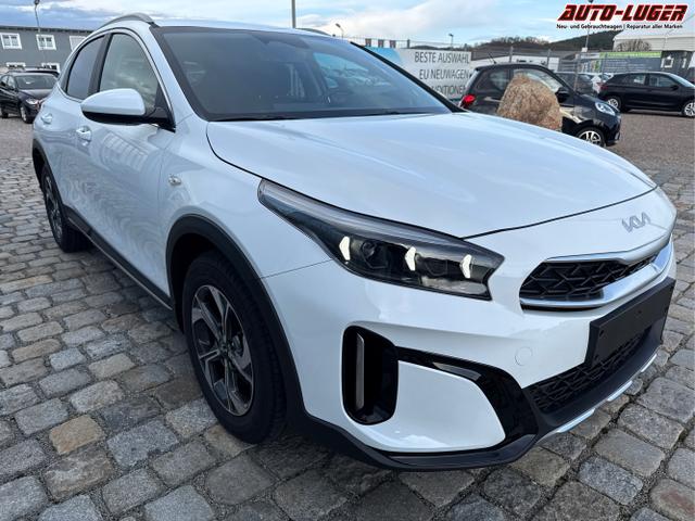Kia / XCeed / Wei&szlig; / / / , Beispielbilder, ggf. teilweise mit Sonderausstattung