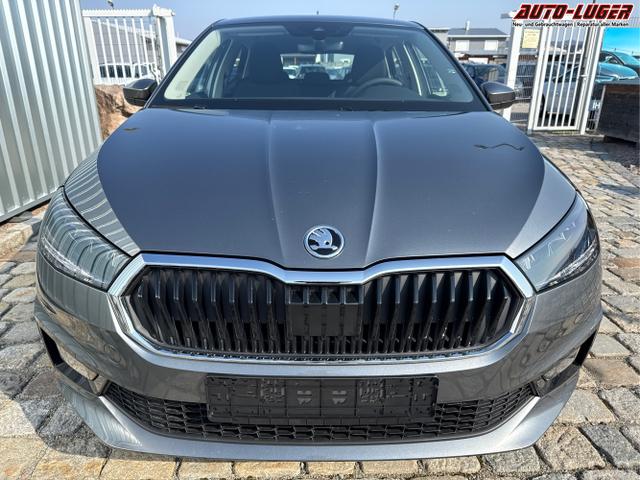 Skoda / Fabia / Grau / / / , Beispielbilder, ggf. teilweise mit Sonderausstattung