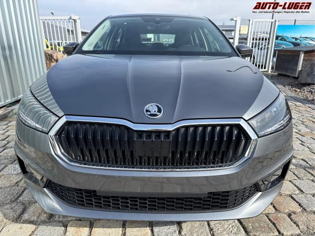 Skoda / Fabia / Grau / / / , Beispielbilder, ggf. teilweise mit Sonderausstattung