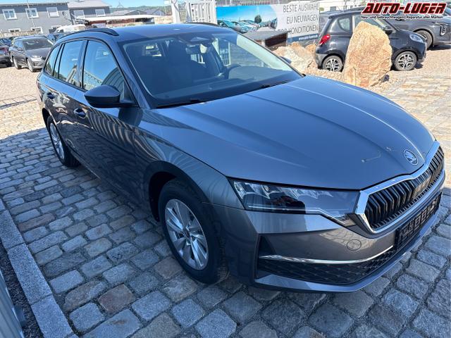 Skoda / Octavia Combi / Grau / / / , Beispielbilder, ggf. teilweise mit Sonderausstattung
