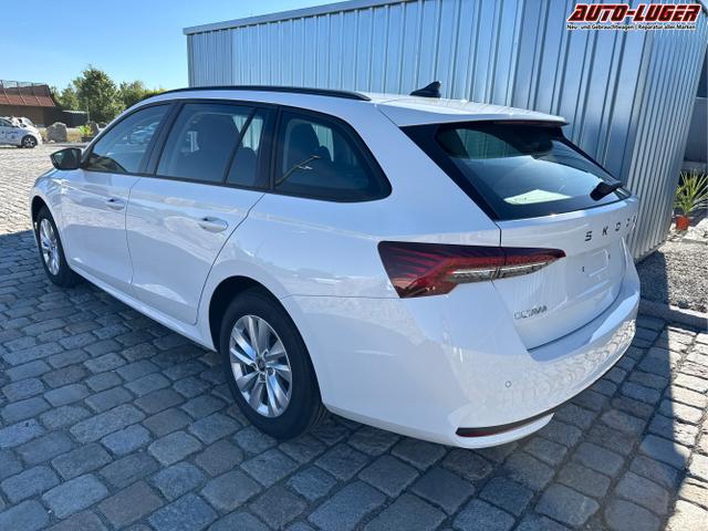 Skoda / Octavia Combi / Wei&szlig; / / / , Beispielbilder, ggf. teilweise mit Sonderausstattung