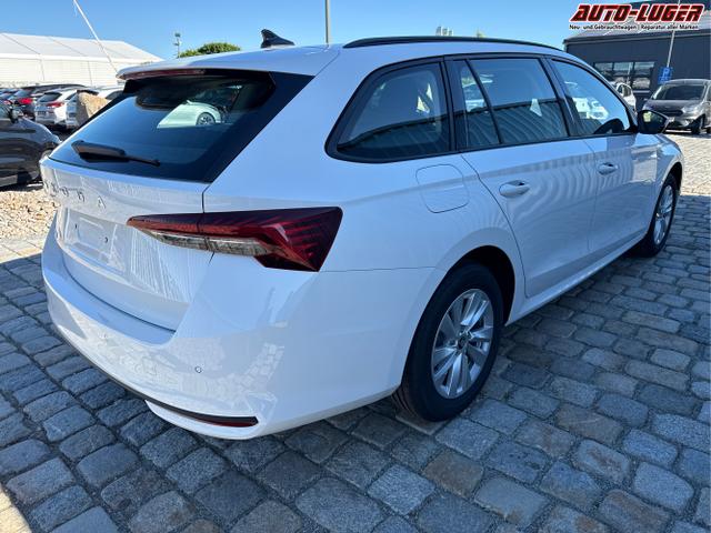 Skoda / Octavia Combi / Wei&szlig; / / / , Beispielbilder, ggf. teilweise mit Sonderausstattung