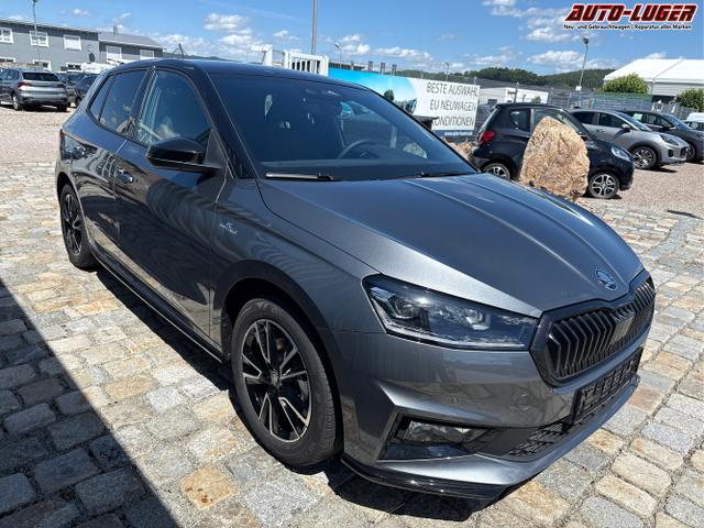 Skoda / Fabia / Grau / / / 