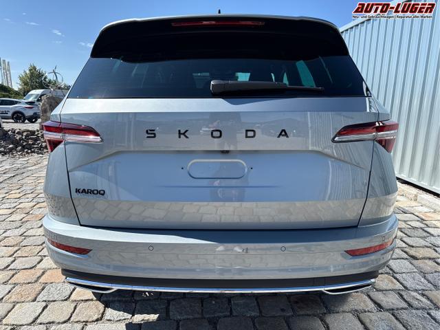 Skoda / Karoq / Grau / / / , Beispielbilder, ggf. teilweise mit Sonderausstattung
