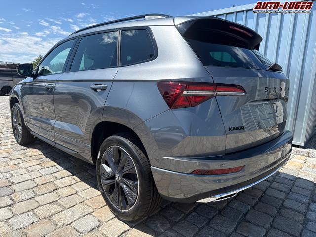 Skoda / Karoq / Grau / / / , Beispielbilder, ggf. teilweise mit Sonderausstattung
