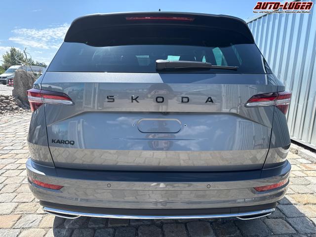 Skoda / Karoq / Grau / / / , Beispielbilder, ggf. teilweise mit Sonderausstattung
