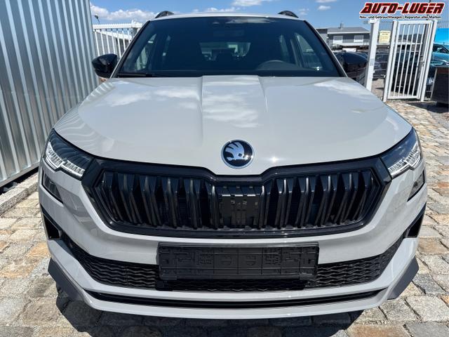 Skoda / Karoq / Grau / / / , Beispielbilder, ggf. teilweise mit Sonderausstattung