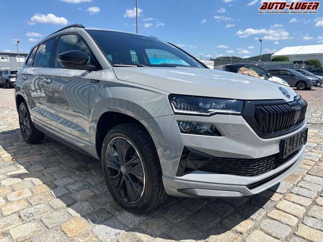 Skoda / Karoq / Grau / / / , Beispielbilder, ggf. teilweise mit Sonderausstattung