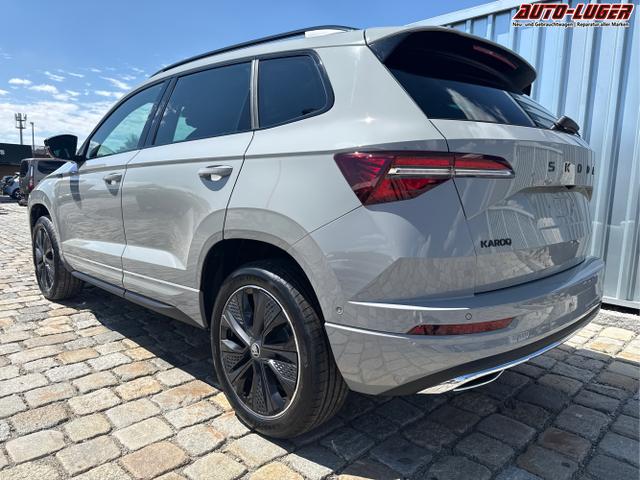 Skoda / Karoq / Grau / / / , Beispielbilder, ggf. teilweise mit Sonderausstattung
