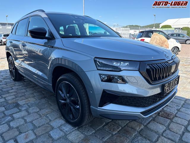 Skoda / Karoq / Grau / / / , Beispielbilder, ggf. teilweise mit Sonderausstattung