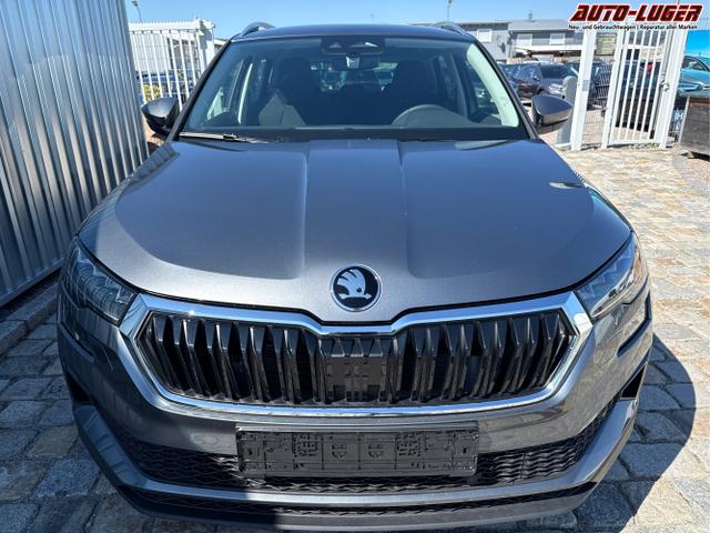 Skoda / Karoq / Grau / / / , Beispielbilder, ggf. teilweise mit Sonderausstattung