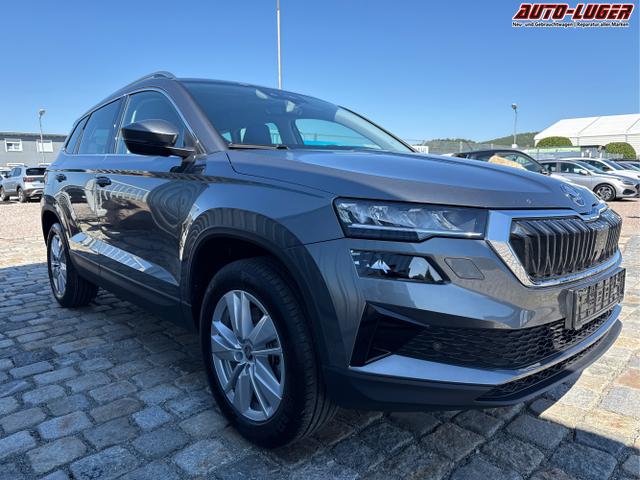Skoda / Karoq / Grau / / / , Beispielbilder, ggf. teilweise mit Sonderausstattung